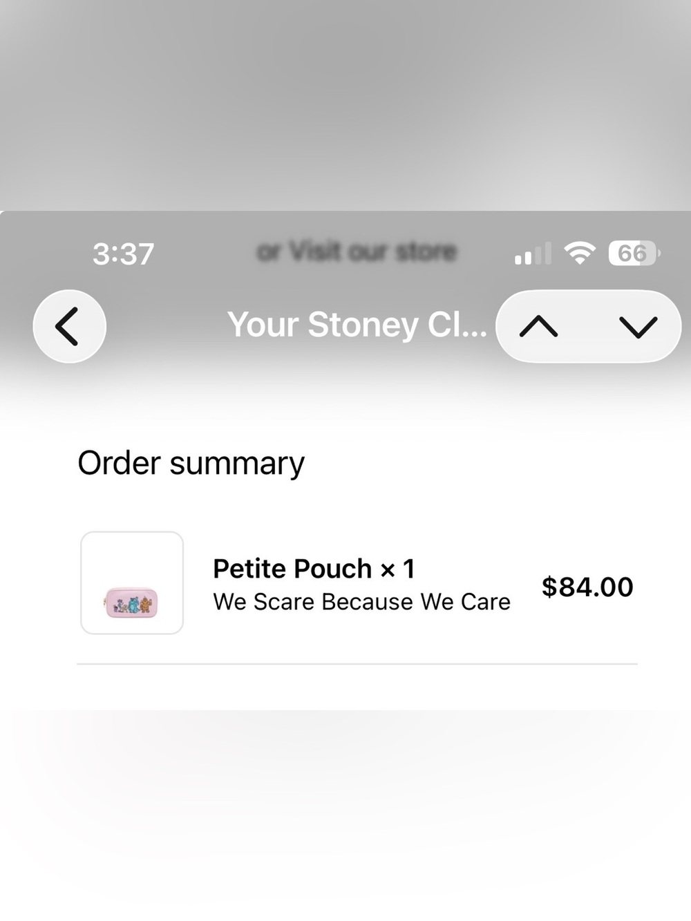 Stoney Clover x Pixar Small Pouch - Picture 15 of 15